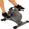 Sunny Health & Fitness SF-B0418 Magnetic Mini Exercise Bike, Gray ShoppingExclusives.com