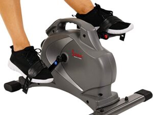 Sunny Health & Fitness SF-B0418 Magnetic Mini Exercise Bike, Gray ShoppingExclusives.com