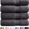 100% Cotton 4-Pack Bath Towel Set by Great Bay Home Shopping Exclusives