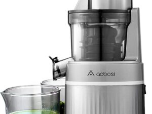 Aobosi Slow Masticating Cold Press Juicer