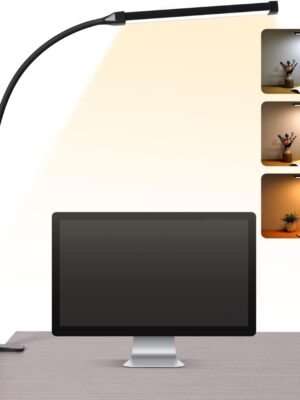LED Desk Lamp with Clamp
