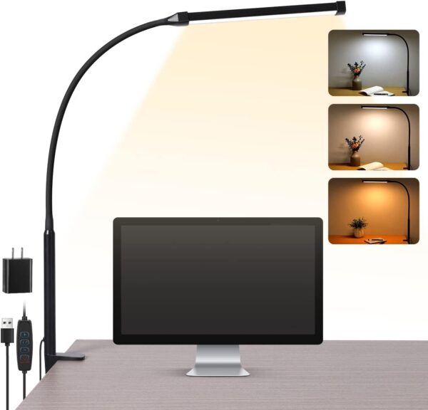 LED Desk Lamp with Clamp