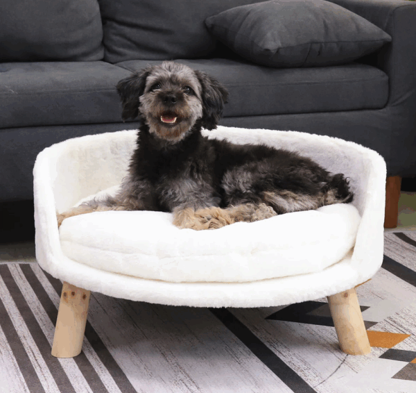 Nott Dog Sofa Cat Sofa Bed