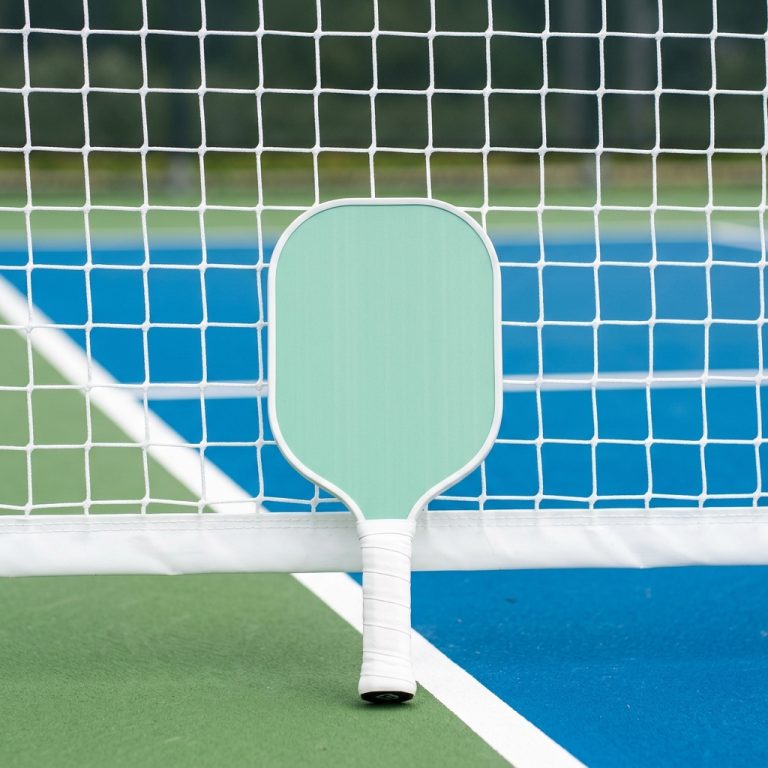 The $100 Pro: 2026 Beginner Pickleball Paddles