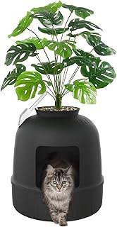 Innovative Litter Boxes