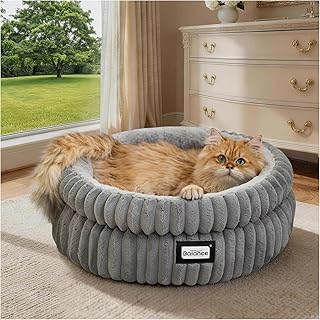 Luxury Cat Beds