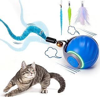 Interactive Cat Toys