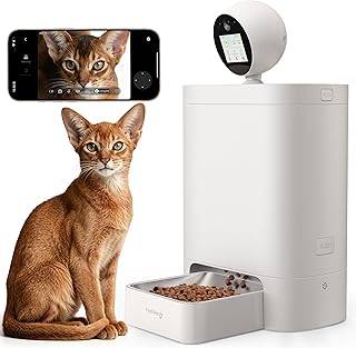 Sleek Cat Feeders