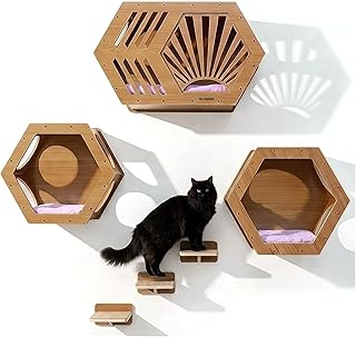 Decorative Cat Shelves