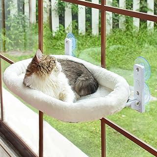 Comfortable window perches and hammocks